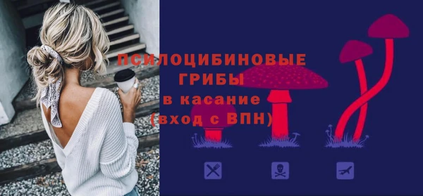 винт Богородицк