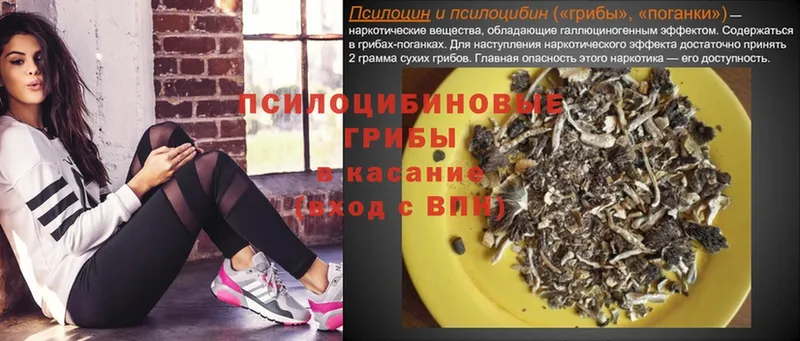 наркотики  Мурино  KRAKEN зеркало  Галлюциногенные грибы Psilocybe 